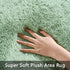 Pettop 3x5 Fluffy Sage Green Area Rug for Bedroom Living Room, Feet Soft Plush Fuzzy Rugs for Girls Kids Boys, Non-Slip