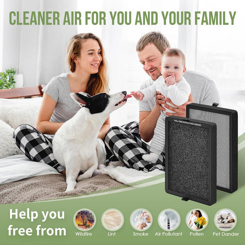 KF250 Replacement Filter for Kenmore Air Purifier Model PM2010, True HEPA Filter, 4-Pack