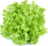 1000+ Oakleaf Lettuce Seeds - Heirloom Non-GMO USA Grown - Leaf Lettuce