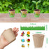 12 Sets Summer Jecery Garden Paper Craft Kit DIY Foam Flower Pots, Flower Planting and Growing Kit for Spring Early