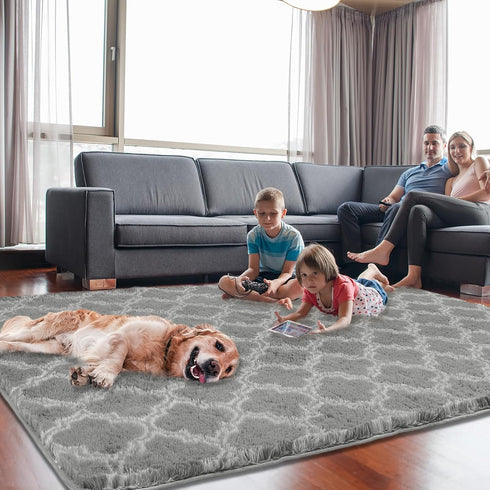 Shag Area Rug 5x7 Feet, Extra Soft High Pile Indoor Carpet for Living Room, Bedroom, Kids Room Decor
