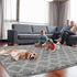 Shag Area Rug 5x7 Feet, Extra Soft High Pile Indoor Carpet for Living Room, Bedroom, Kids Room Decor