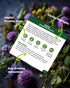 35 Pack Medicinal & Tea Herb Seeds for Planting - Non-GMO Heirloom Variety for Indoor/Outdoor Garden: Anise, Bergamot