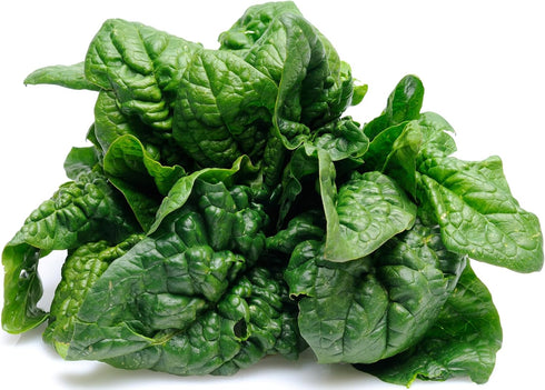 500 Bloomsdale Spinach Seeds - Heirloom Non-GMO USA Grown - for Use