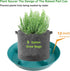 Feyvdzv 4 Pack 12 inch, 8 10 14 17 inch, Plant Saucer Plant Stand Plastic Plant Saucers for Indoors Outdoor, Heavy Duty