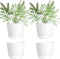 Youngever 4.5 Inch Plastic Planters with Saucers, 8 Sets Indoor Flower Pots, Modern Decorative Gardening