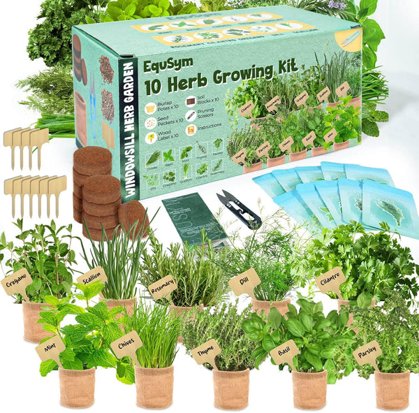 EquSym 10 Herb Window Garden Kit Indoor - Herb Seeds for Indoor &