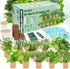 EquSym 10 Herb Window Garden Kit Indoor - Herb Seeds for Indoor &