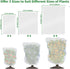 4 Pack 4.6 5.9 Evoio Bird Netting for Garden Blueberry Bushes Fruit Tree Netting Cover Plant Protection Mesh Bags