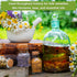 Sow Right Seeds - Extra Large Medicinal Herb Seed Collection for Planting - Lemon Balm, Lavender, Yarrow, Echinacea