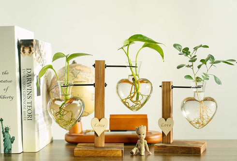 Bulb (D(1 Kingbuy Hydroponic Glass Vase Vintage Desktop Plant Terrarium Planter Vase Water Planting Propagation Vase