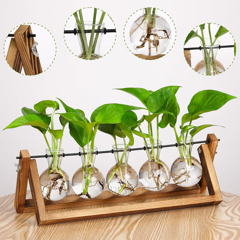 Decor(5 Bulb YIBOT Propagation Stations,Plant Terrarium with Wooden Stand,Plant Lover Gifts for Women for Hydroponics