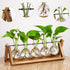 Decor(5 Bulb YIBOT Propagation Stations,Plant Terrarium with Wooden Stand,Plant Lover Gifts for Women for Hydroponics