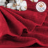 12 Pack 100% 13"x13" Hearth & Harbor Washcloths - Cotton Washcloth for Body and face, High Absorbent and Soft Body Wash