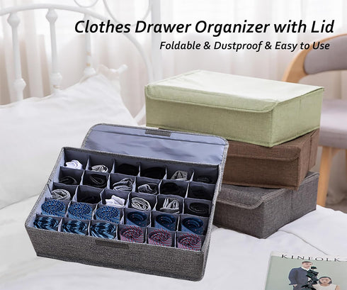 AARAINBOW 2 Packs Underwear Socks Ties Storage Organizer with Lids, Foldable Closet Drawer Organizer 60 Cells (30 Cell,