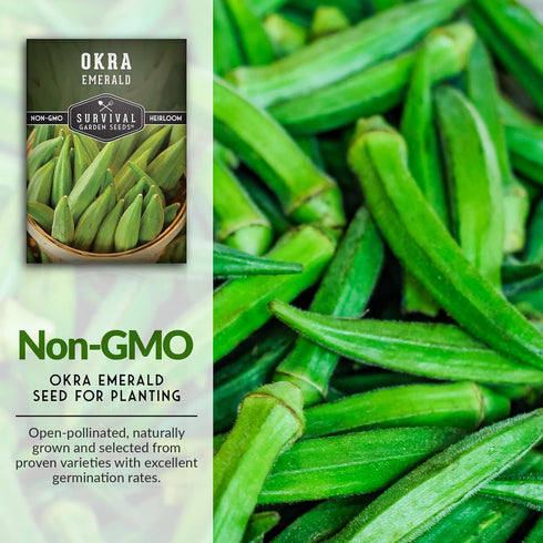 Packet 3 Pack Survival Garden Seeds - Emerald Okra Seed for Planting - with Instructions to Plant and Grow Tender