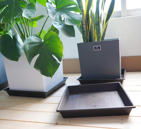 NIMYAU 12 Inch 2 PackPlant Square Plant Saucer Stand Plant Trays for Pots Heavy Duty Plastic Plant Saucers for Indoors