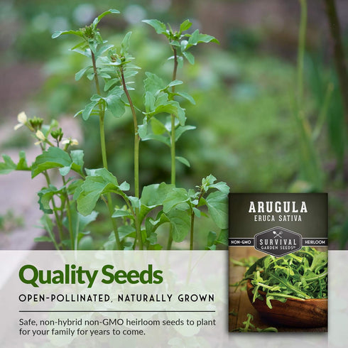 5 Packs Survival Garden Seeds - Arugula Seeds for Planting - with Instructions to Grow Garden Rocket Green Leafy