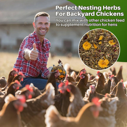 RAINFLOW 10oz Cozy Chicken Nesting Herbs - Natural Dried Herb Blend for Coop Comfort,Egg Laying Hens