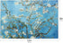 Van Gogh Design Tempered Glass Cutting Board for Kitchen, Small Heat Resistant (8x12 inches)