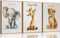 3 Pcs Safari Nursery Canvas Wall Art Kids Cute Inspirational Animal Lion