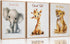 3 Pcs Safari Nursery Canvas Wall Art Kids Cute Inspirational Animal Lion