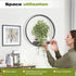 3 Pack Round Picture Frame Wall Plant Holder Black Wall Hanging Planters Metal Window Plants Shelf Plant for Indoor