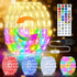 50FT 150 LED Fairy Lights Plug in, 30V 24 RGB Colors+Warm White