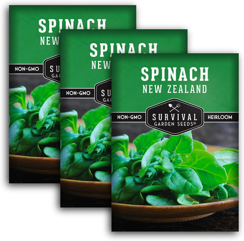 New Zealand Spinach Seeds for Planting | Heat Tolerant Summer Green (Tetragonia),