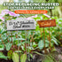 304 2 25 Pack 3.74'' 1.39'' 10.75 Inch Stainless Steel Plant Labels for Garden Outdoor | Metal Plant Markers Waterproof