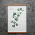 FALAMON Magnetic Poster Hanger Frame - Teak Wood, 18x12, 18x24, 18x28 for Posters, Prints, Photos, and Canvas Artwork