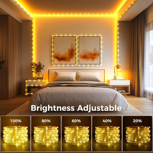 33FT 100 Bedroom,16 Minetom Color Changing Rope Lights Outdoor, LED String Lights with Plug & Remote, Waterproof