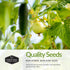 Packets Survival Garden Seeds Cucumber Collection - Mix of Armenian, Beit Alpha, Lemon, National Pickling