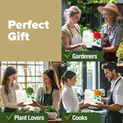 8 Set HOME GROWN Gift Herb Kit Herb Seeds with Basil, Cilantro, Mint & More, Complete Indoor Grow Kit for Kitchen