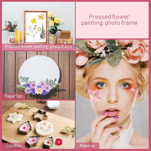 Nuanchu 200 Pcs Dried Pressed Flowers for Crafts, Natural Real Leaves Bulk for DIY Art Jewelry Making