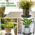 ZYNERY 10 PCS Plant Level Pot Elevator, Planter Stands for Outdoor Plants, Pot Saucers, Indoor Plant Risers, 11.8in