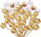 Haokixin 100 PCS Chocolate Holder,Clear Balls Acrylic Chocolate Box Holder,Chocolate Candy Holder Case,Chocolate