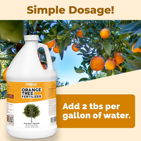 1 Orange Tree Fertilizer Liquid Plant Food for More Fruit, Better Flowering & Stronger Root Development, Gallon