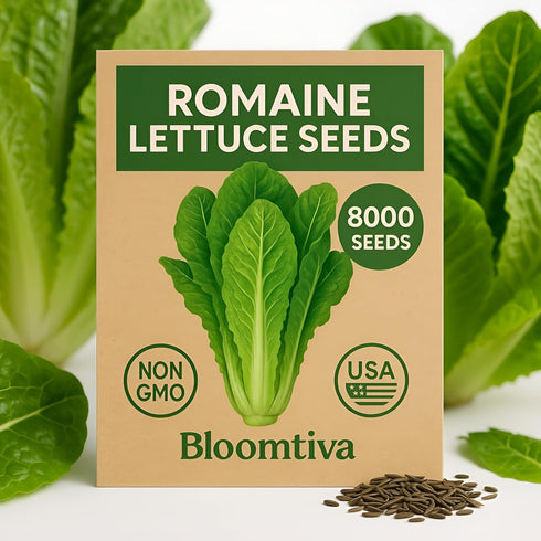 Bloomtiva 8000+ Pack, Romaine Lettuce Seeds Parris Island Cos, Heirloom Non-GMO Seeds, High Germination Bulk Grown