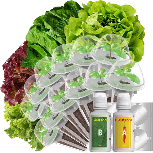 LYKOCLEAN Salad Romaine Lettuce Seed Pods for AeroGarden,Ahopegarden, iDOO Hydroponics Growing System,350