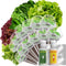 LYKOCLEAN Salad Romaine Lettuce Seed Pods for AeroGarden,Ahopegarden, iDOO Hydroponics Growing System,350