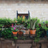 OBANGONG 2 PCS Iron Hanging Railing Planter Shelf Basket with Hooks,Balcony Plant Pot Shelf Holder Fence Flower Stand