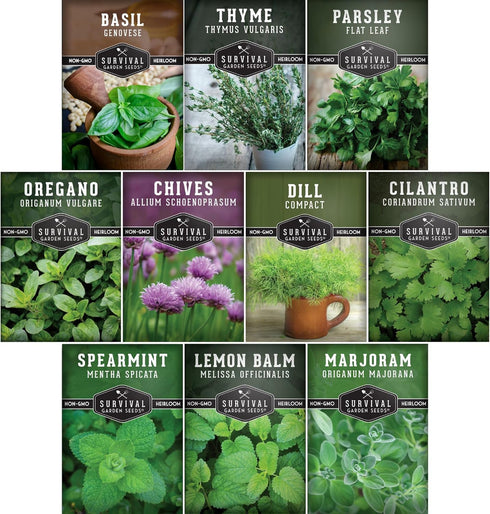 Indoor Herb Seeds Variety Pack | 10 Herbs for Planting Basil, Mint,