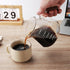 Pour Over Coffee Maker, 20 oz Borosilicate Glass Set with 100 pcs V60 Paper Filter, Walnut Collar