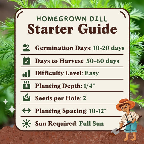 Packet Seedboy Organic Dill Seeds for Planting Indoor and Outdoor, Non-GMO and USDA Certified Herb Seed for Hydroponic