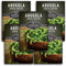 Survival Garden Seeds - Arugula Seeds for Planting - 5 Packs with