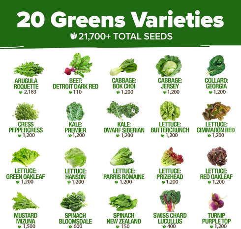 20 21,700+ Pack (20 HOME GROWN Variety Lettuce Seeds Bulk Heirloom Non-GMO High Germination, Romaine, Butterhead