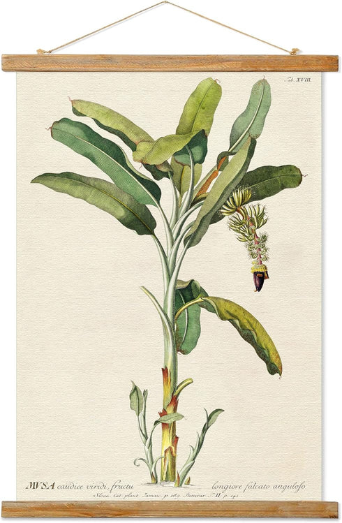 Vintage Banana Tree Poster Hanger Frame, Retro Style of Wall Art Prints,