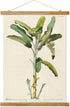Vintage Banana Tree Poster Hanger Frame, Retro Style of Wall Art Prints,