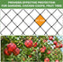 3/4' Bird Netting - Heavy Duty Nylon Net with Mesh for Garden Protection, Chicken Coop and Orchard